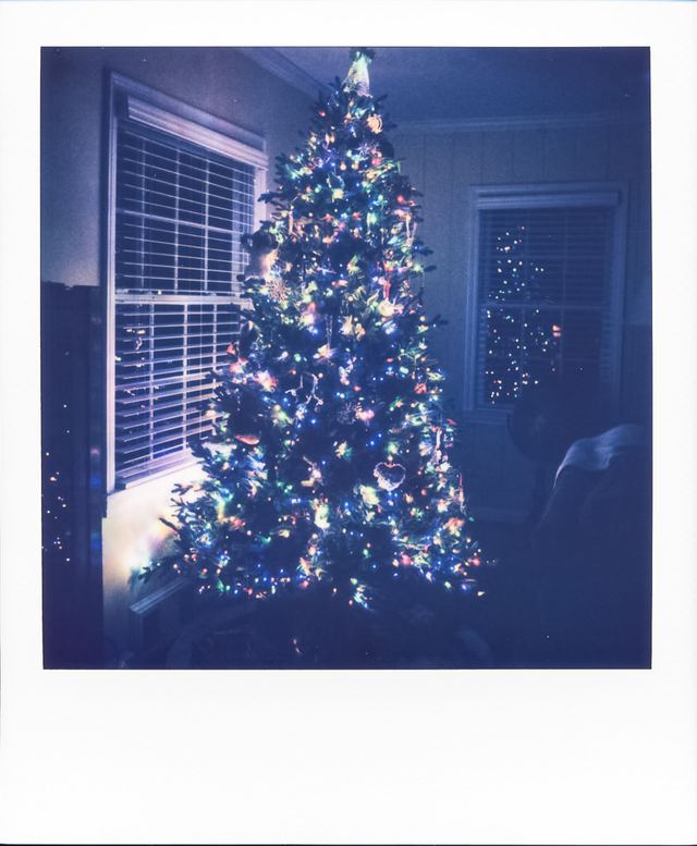 Polaroid photograph, December 10, 2023