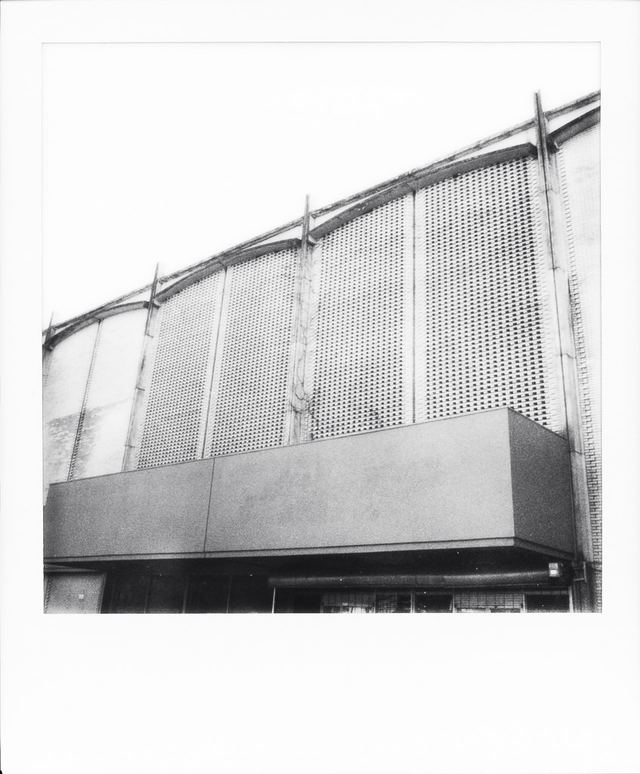 Polaroid photograph, December 13, 2023