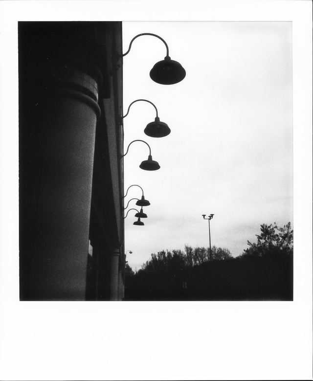 Polaroid photograph, December 16, 2023