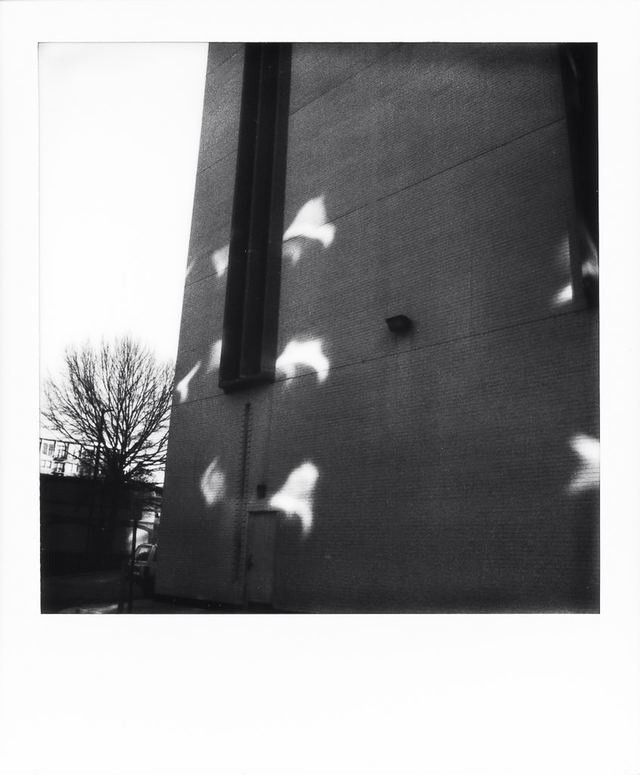 Polaroid photograph, December 20, 2023
