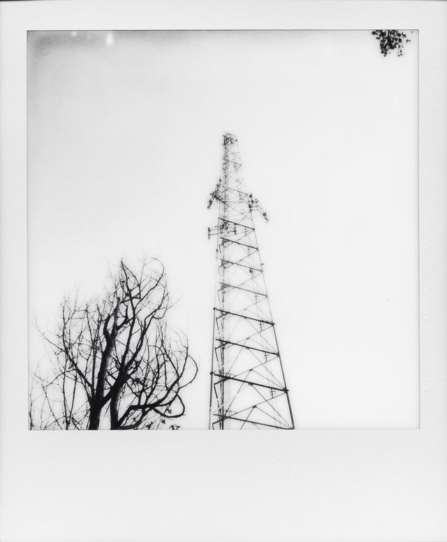 Polaroid photograph, December 21, 2023