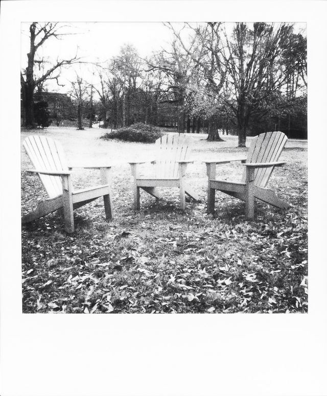 Polaroid photograph, December 24, 2023