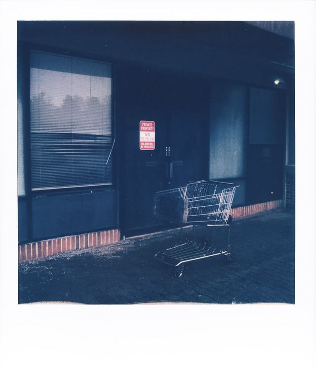 Polaroid photograph, December 26, 2023