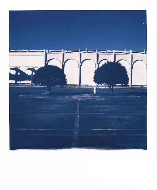 Polaroid photograph, January 2, 2024