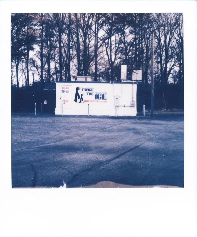Polaroid photograph, January 5, 2024