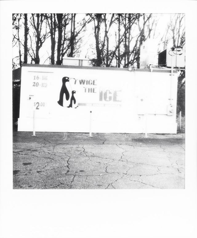 Polaroid photograph, January 8, 2024