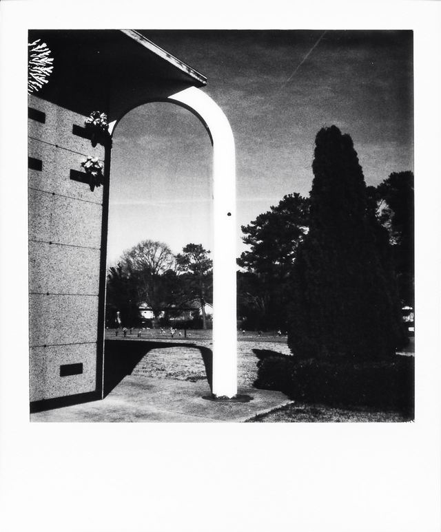Polaroid photograph, January 11, 2024