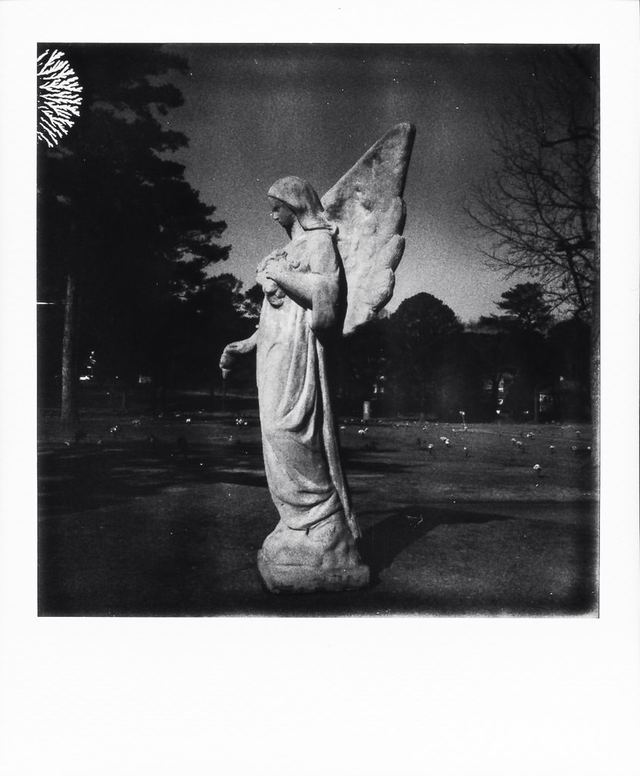 Polaroid photograph, January 14, 2024