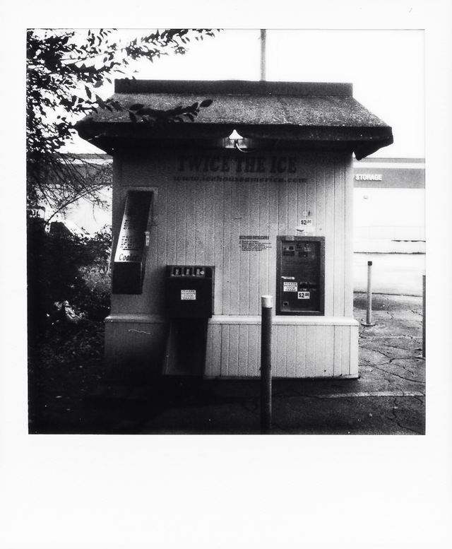 Polaroid photograph, January 19, 2024