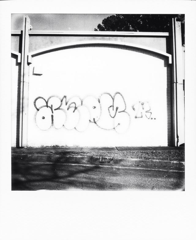 Polaroid photograph, January 20, 2024