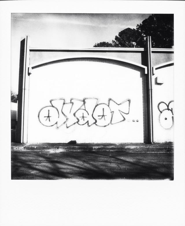 Polaroid photograph, January 21, 2024
