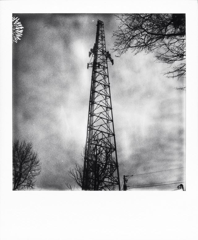 Polaroid photograph, January 22, 2024