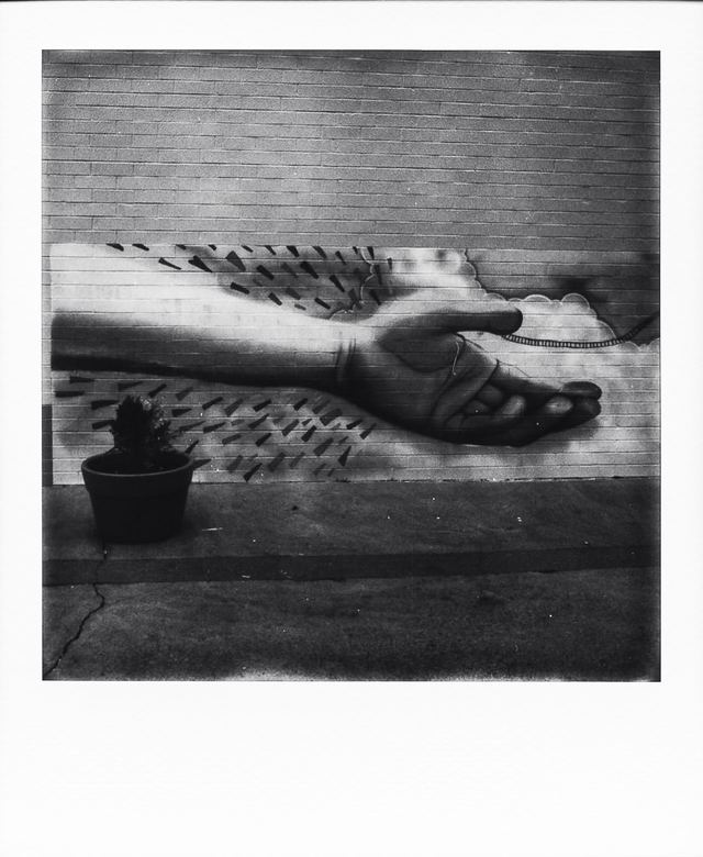 Polaroid photograph, January 24, 2024