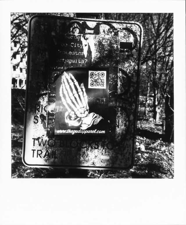 Polaroid photograph, January 29, 2024