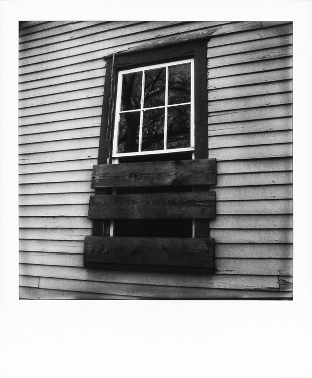Polaroid photograph, January 30, 2024