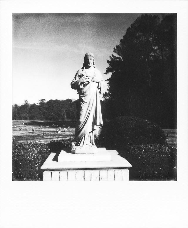 Polaroid photograph, February 1, 2024