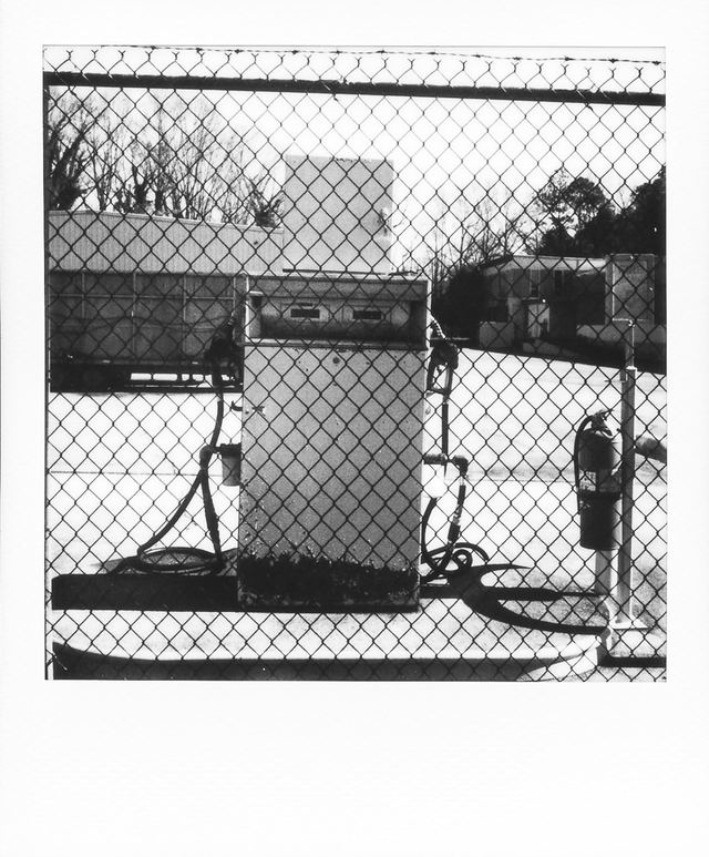 Polaroid photograph, February 2, 2024