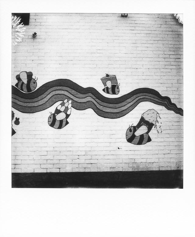 Polaroid photograph, February 5, 2024
