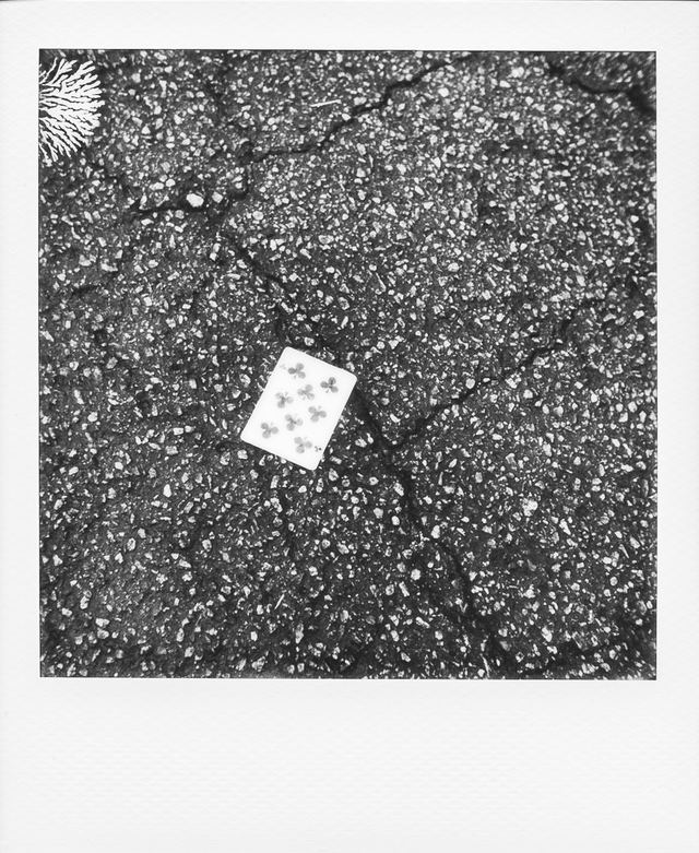 Polaroid photograph, February 12, 2024
