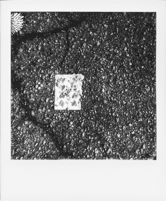 Polaroid photograph, February 13, 2024
