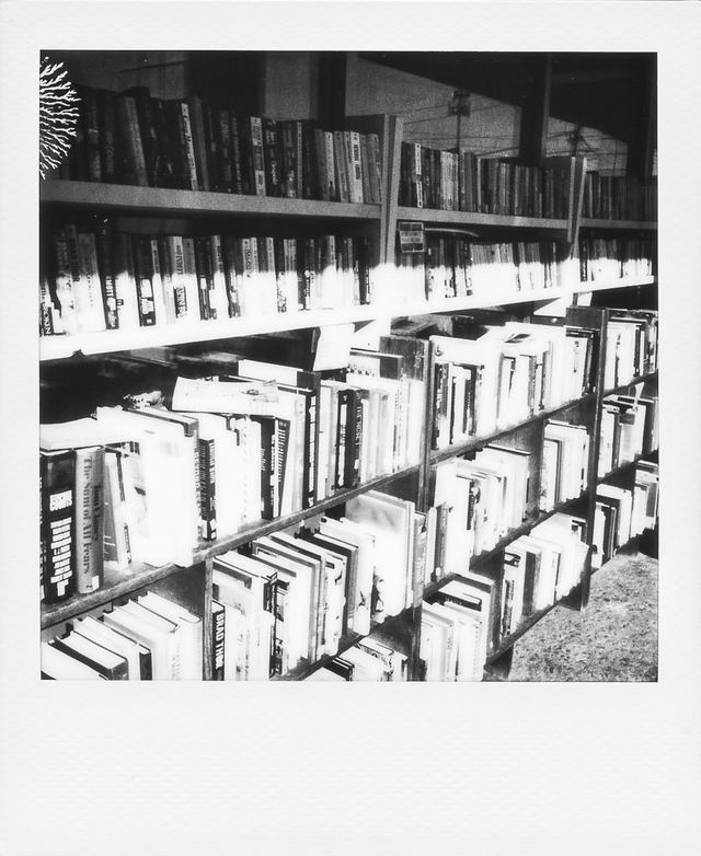 Polaroid photograph, February 14, 2024