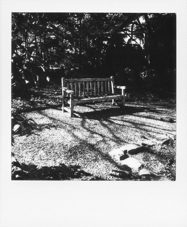 Polaroid photograph, February 15, 2024