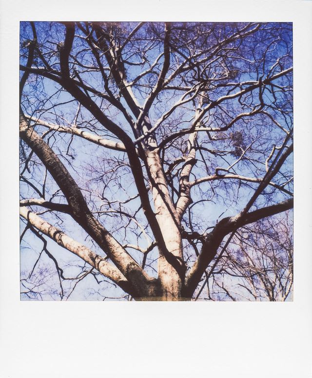 Polaroid photograph, February 18, 2024