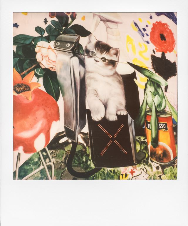 Polaroid photograph, February 19, 2024