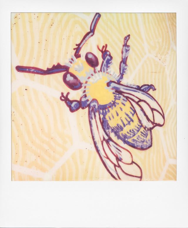 Polaroid photograph, February 24, 2024