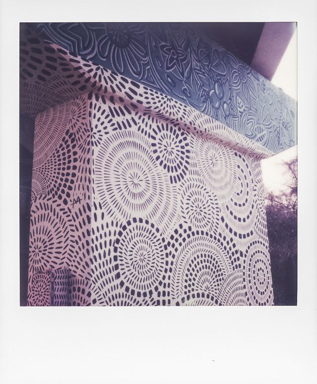 Polaroid photograph, February 25, 2024
