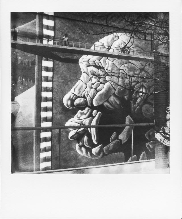 Polaroid photograph, February 27, 2024