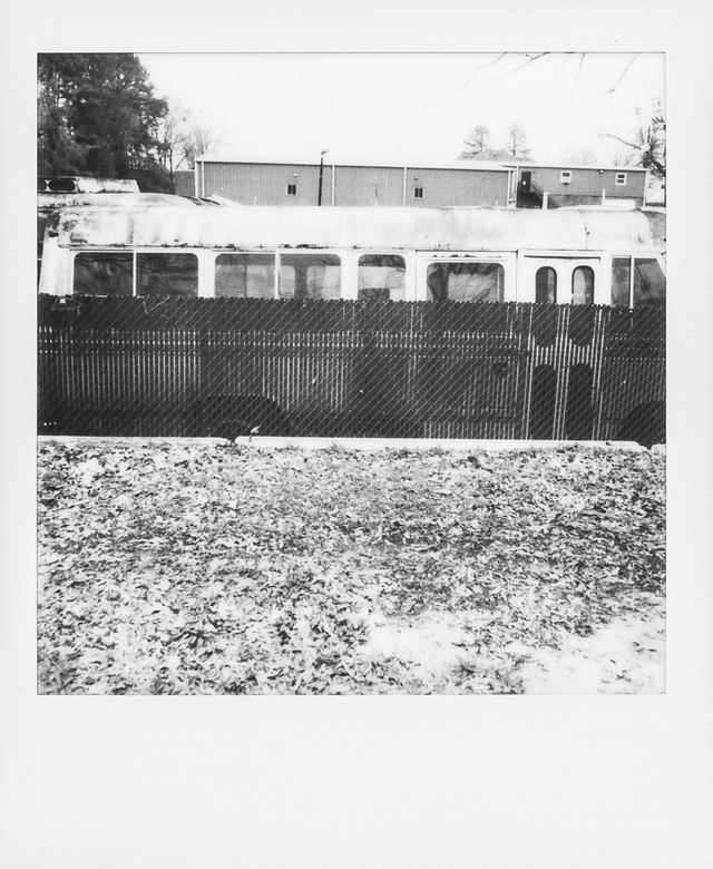 Polaroid photograph, March 6, 2024