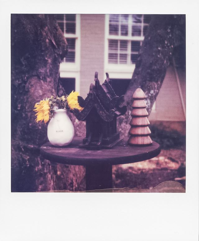 Polaroid photograph, March 8, 2024