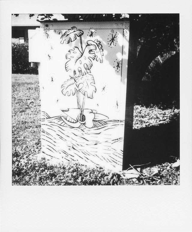Polaroid photograph, March 10, 2024