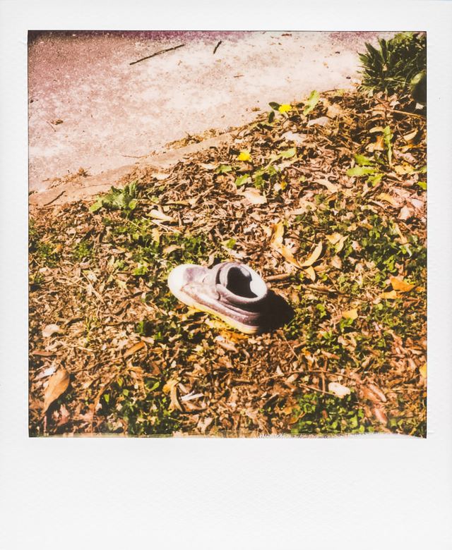 Polaroid photograph, March 12, 2024
