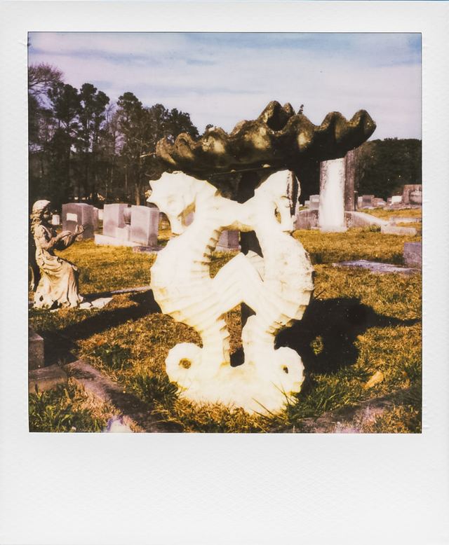 Polaroid photograph, March 13, 2024
