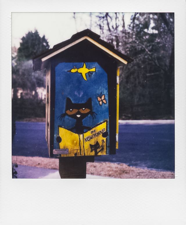 Polaroid photograph, March 14, 2024