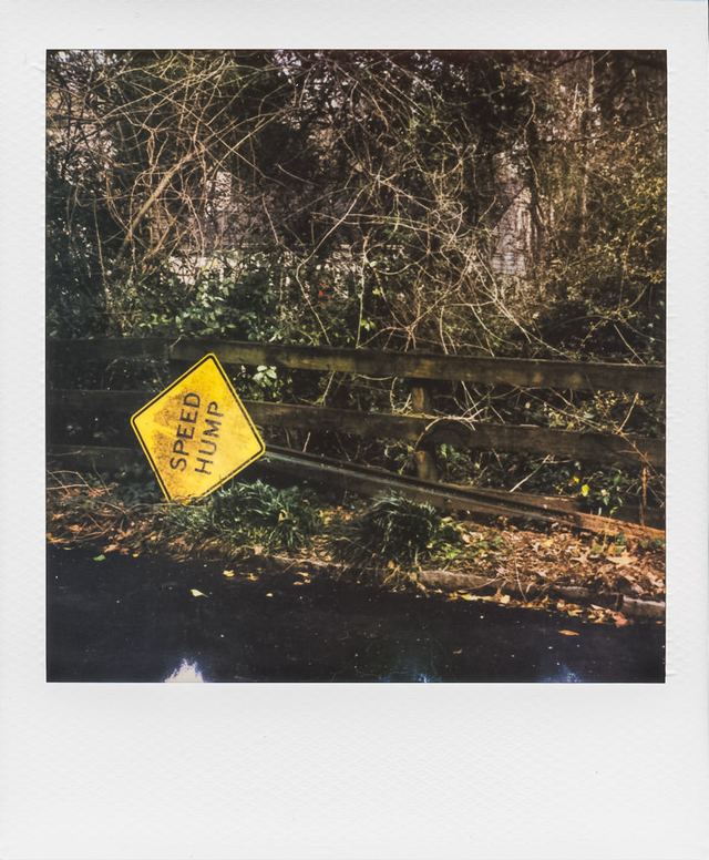 Polaroid photograph, March 15, 2024