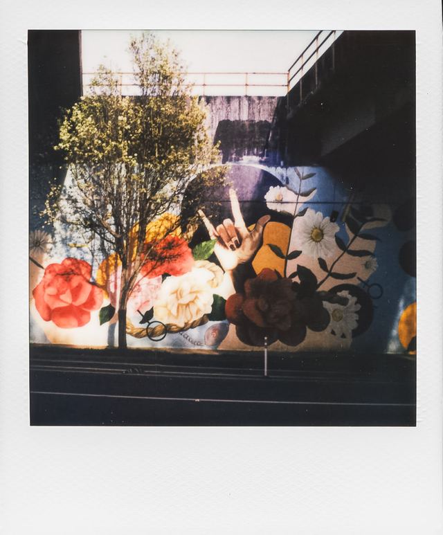 Polaroid photograph, March 16, 2024