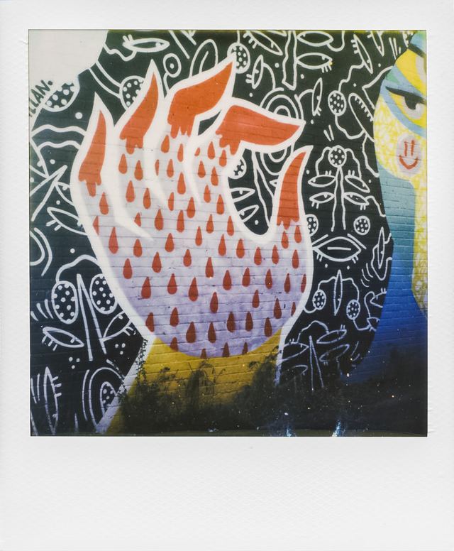 Polaroid photograph, March 19, 2024