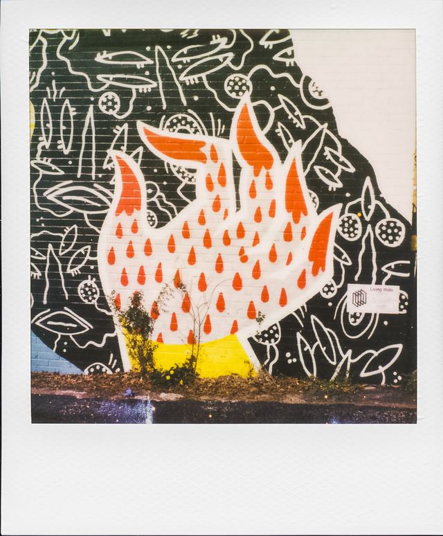 Polaroid photograph, March 20, 2024