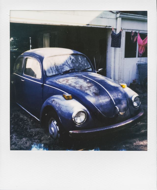 Polaroid photograph, March 21, 2024