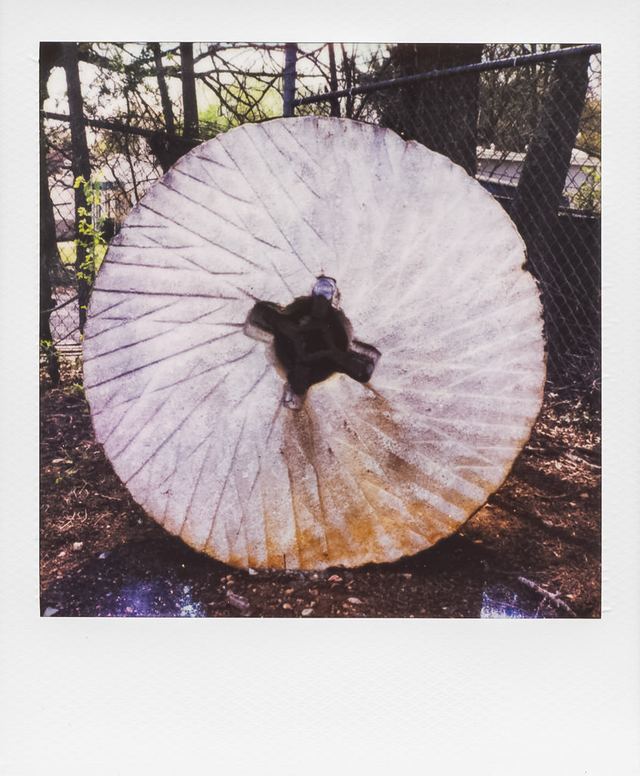Polaroid photograph, March 23, 2024