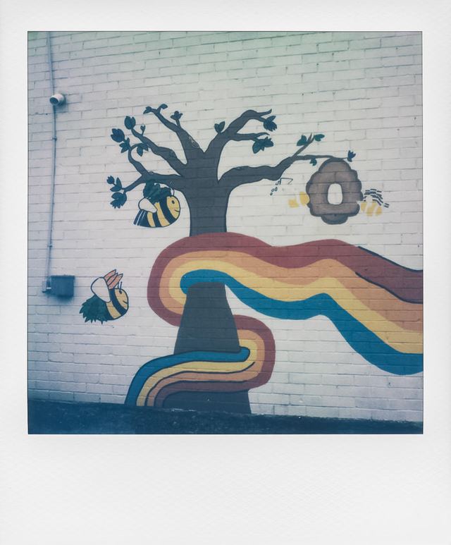 Polaroid photograph, March 26, 2024