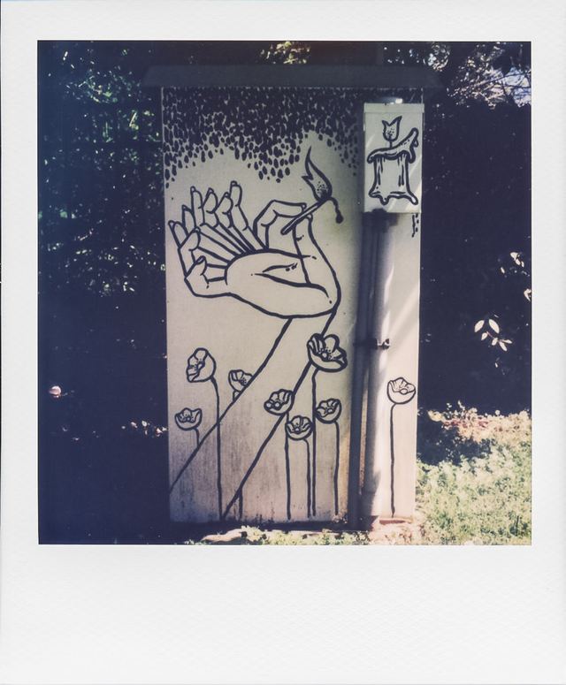 Polaroid photograph, March 28, 2024
