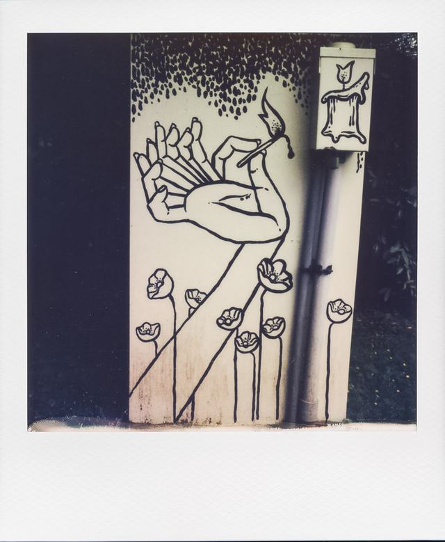 Polaroid photograph, March 31, 2024