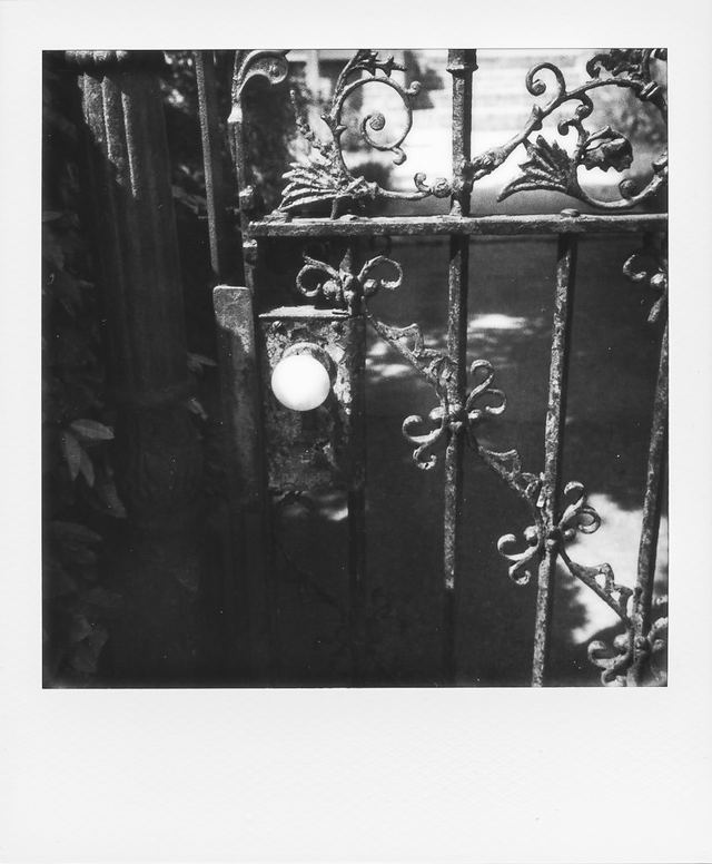 Polaroid photograph, April 6, 2024