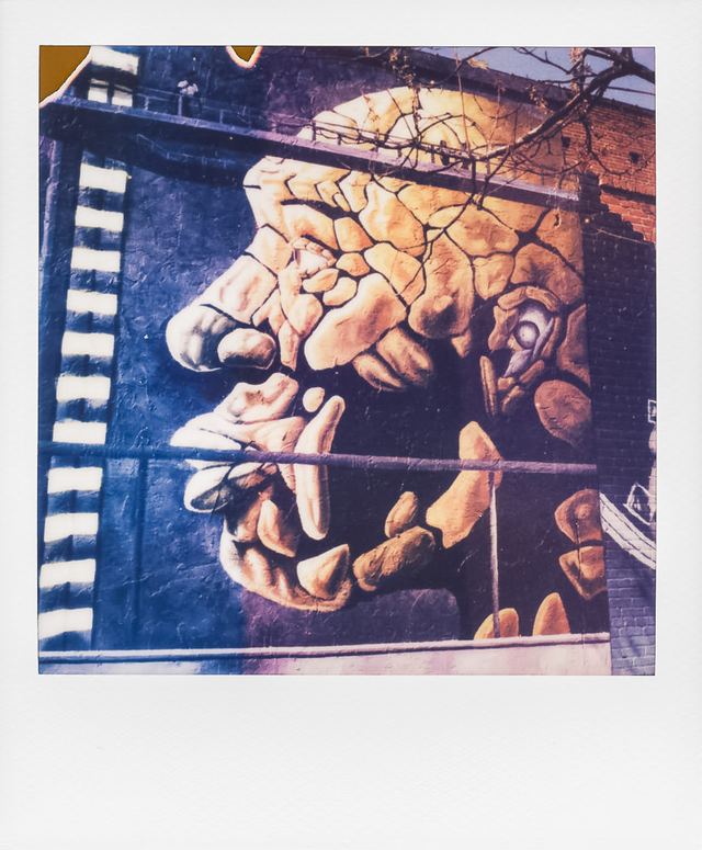 Polaroid photograph, April 8, 2024