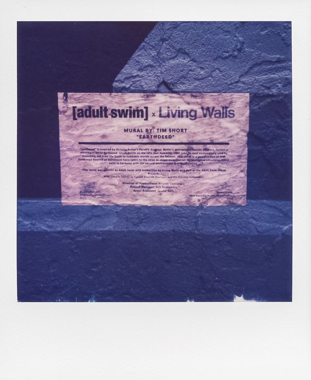 Polaroid photograph, April 11, 2024