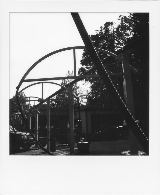 Polaroid photograph, April 16, 2024